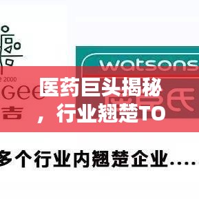 医药巨头揭秘，行业翘楚TOP10榜单出炉！