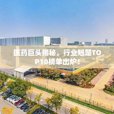 医药巨头揭秘,行业翘楚TOP10榜单出炉!