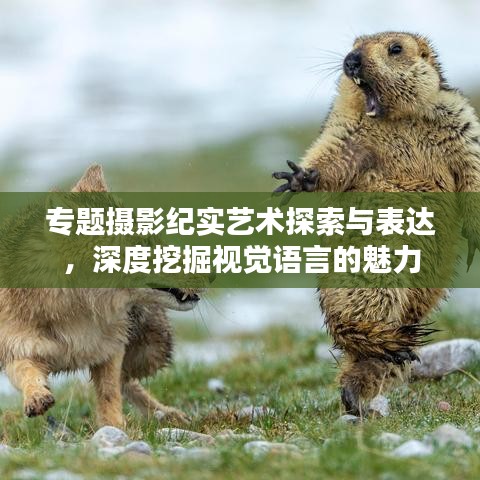 专题摄影纪实艺术探索与表达,深度挖掘视觉语言的魅力