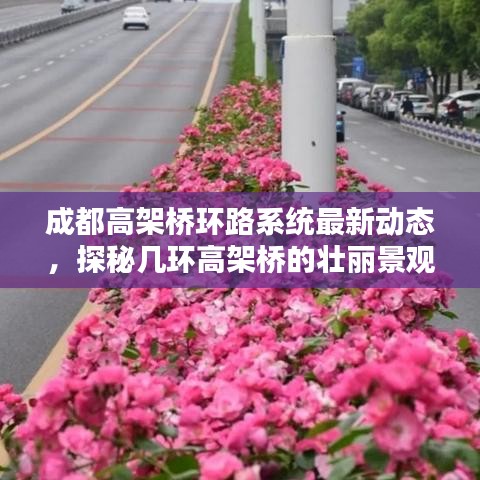 成都高架桥环路系统最新动态，探秘几环高架桥的壮丽景观