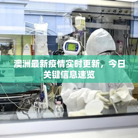 澳洲最新疫情实时更新，今日关键信息速览