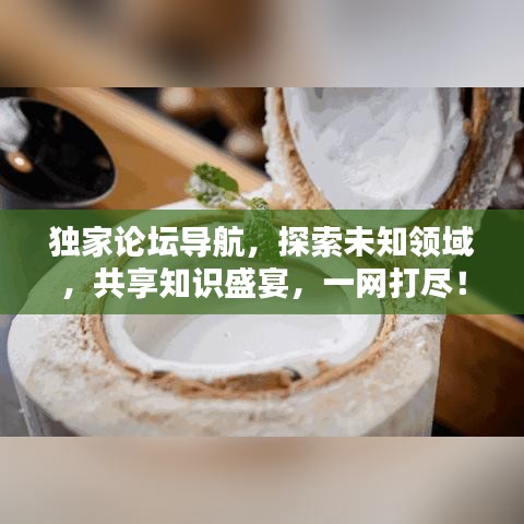 独家论坛导航，探索未知领域，共享知识盛宴，一网打尽！