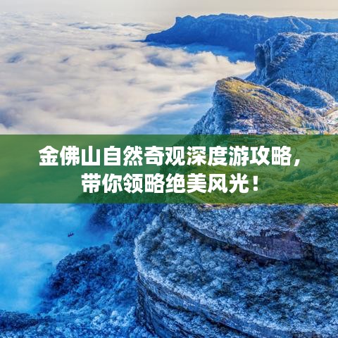 金佛山自然奇观深度游攻略，带你领略绝美风光！