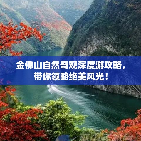 流星蝴蝶剑手游和蛋蛋赚苹果下载官方下载,适用计划解析方案|Prime_v9.406