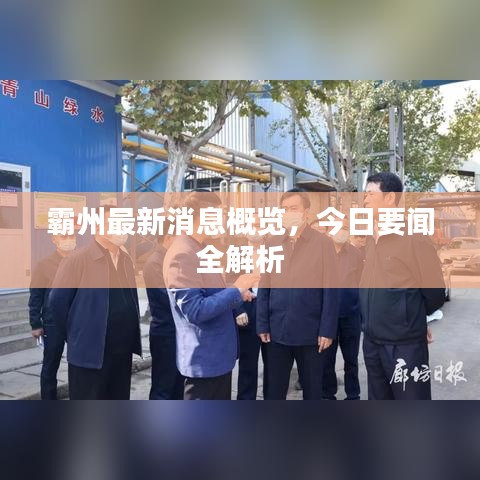 霸州最新消息概览,今日要闻全解析