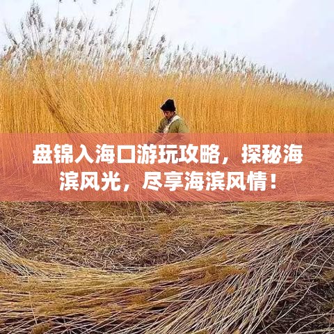 盘锦入海口游玩攻略,探秘海滨风光,尽享海滨风情!