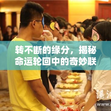 转不断的缘分，揭秘命运轮回中的奇妙联系