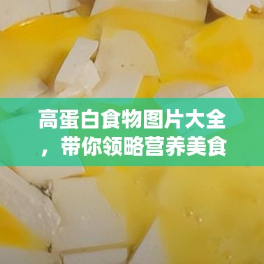 高蛋白食物图片大全,带你领略营养美食盛宴!