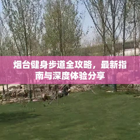 烟台健身步道全攻略，最新指南与深度体验分享