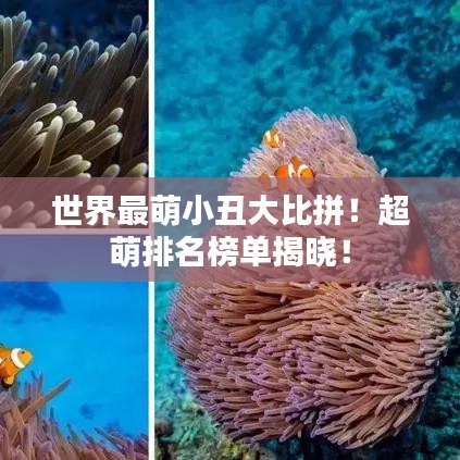 世界最萌小丑大比拼！超萌排名榜单揭晓！