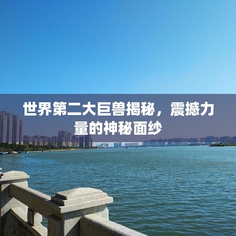 世界第二大巨兽揭秘,震撼力量的神秘面纱