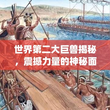 世界第二大巨兽揭秘,震撼力量的神秘面纱