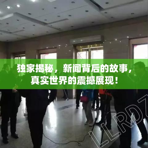 独家揭秘,新闻背后的故事,真实世界的震撼展现!