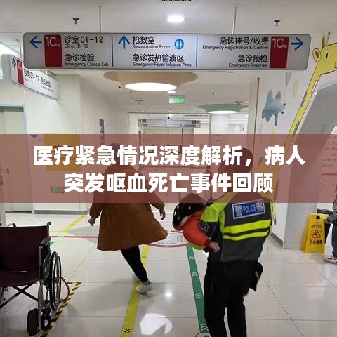 医疗紧急情况深度解析,病人突发呕血死亡事件回顾
