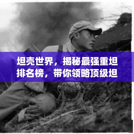 坦壳世界,揭秘最强重坦排名榜,带你领略顶级坦克风采!