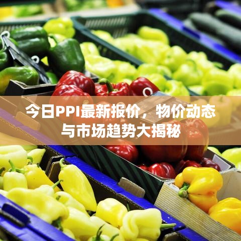 今日PPI最新报价，物价动态与市场趋势大揭秘