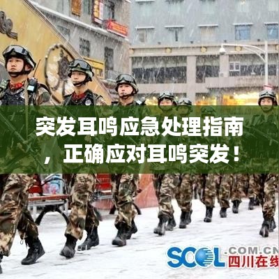突发耳鸣应急处理指南，正确应对耳鸣突发！
