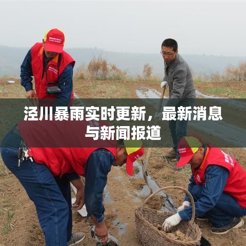 cf手游怎么卡包新版本,安全性执行策略|ChromeOS_v6.409