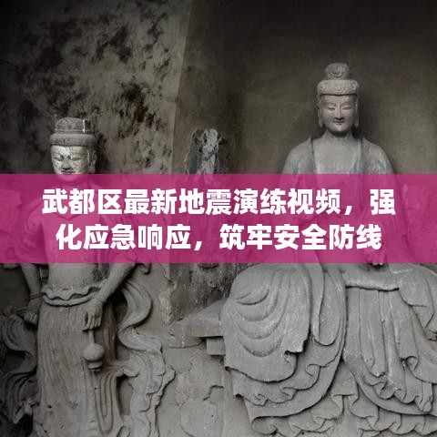 武都区最新地震演练视频,强化应急响应,筑牢安全防线