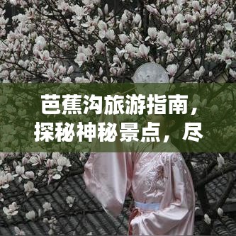 芭蕉沟旅游指南，探秘神秘景点，尽享绝佳体验！
