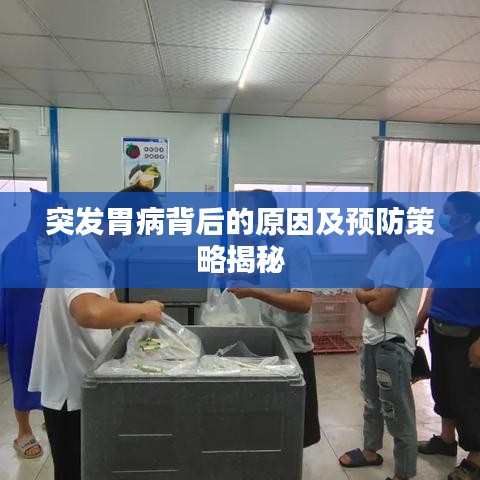 突发胃病背后的原因及预防策略揭秘