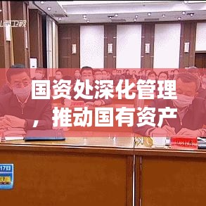 国资处深化管理,推动国有资产高效利用,助力可持续发展