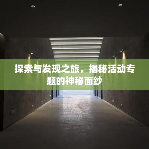探索与发现之旅,揭秘活动专题的神秘面纱