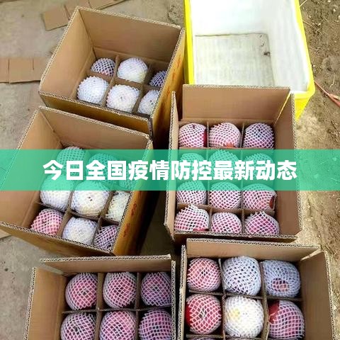 今日全国疫情防控最新动态
