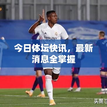 今日体坛快讯,最新消息全掌握
