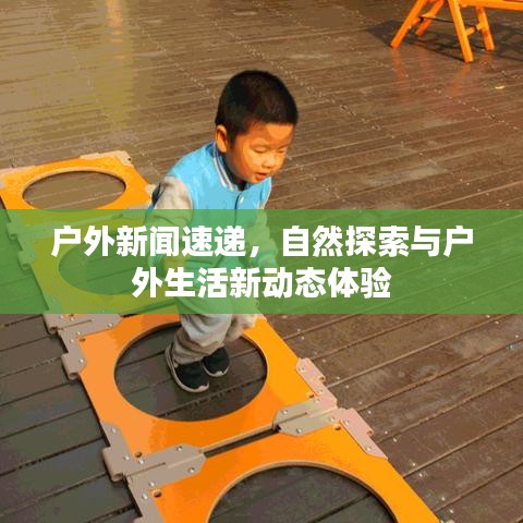 户外新闻速递,自然探索与户外生活新动态体验