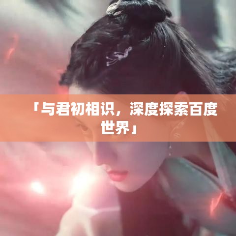 「与君初相识,深度探索百度世界」