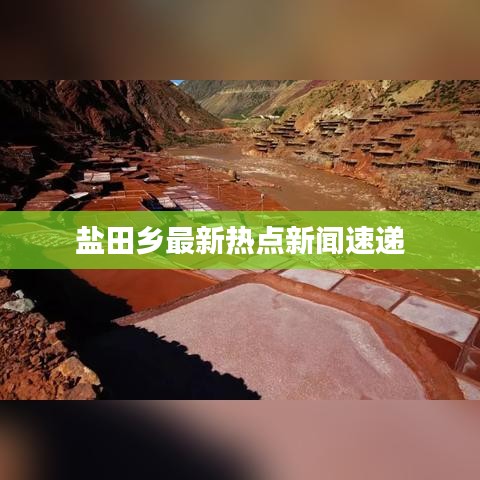 盐田乡最新热点新闻速递