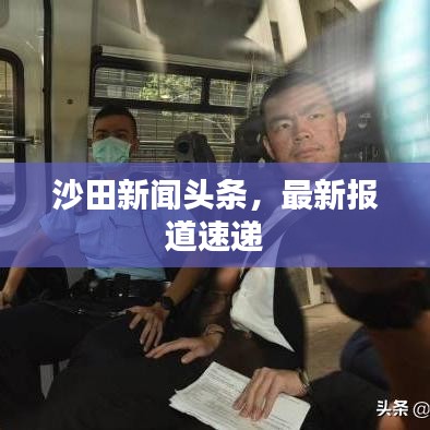 沙田新闻头条，最新报道速递