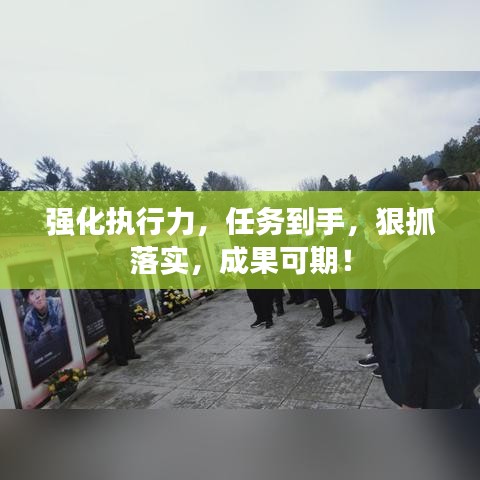 强化执行力,任务到手,狠抓落实,成果可期!