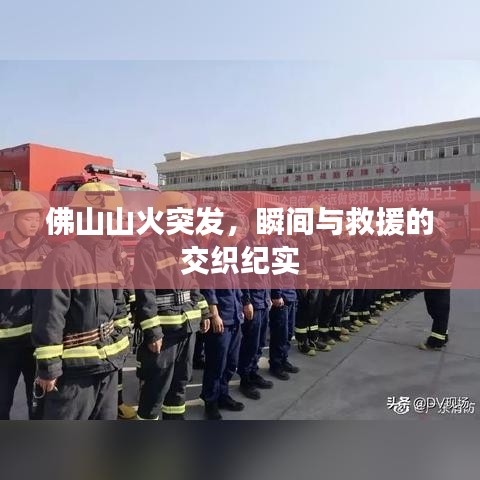 捕鱼单机版下载跟开心棋牌手机版官方版下载安装,系统化推进策略探讨&定制版_v3.678