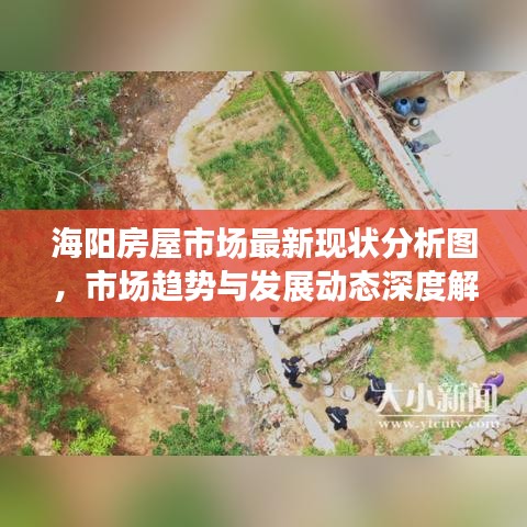 海阳房屋市场最新现状分析图,市场趋势与发展动态深度解读