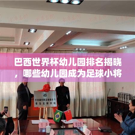 巴西世界杯幼儿园排名揭晓，哪些幼儿园成为足球小将的摇篮？