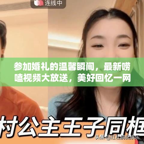 参加婚礼的温馨瞬间，最新唠嗑视频大放送，美好回忆一网打尽！