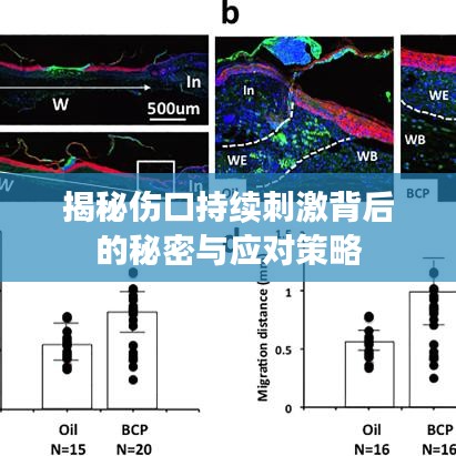 揭秘伤口持续刺激背后的秘密与应对策略