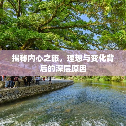 揭秘内心之旅，理想与变化背后的深层原因