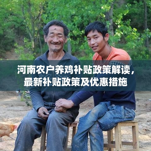 河南农户养鸡补贴政策解读,最新补贴政策及优惠措施