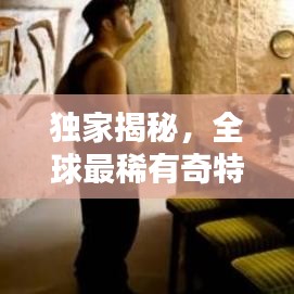 独家揭秘，全球最稀有奇特房屋排名榜单！