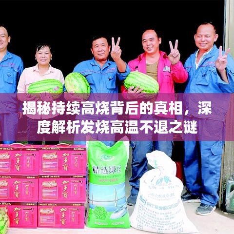 揭秘持续高烧背后的真相,深度解析发烧高温不退之谜