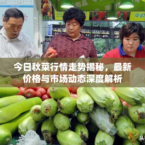 今日秋菜行情走势揭秘，最新价格与市场动态深度解析
