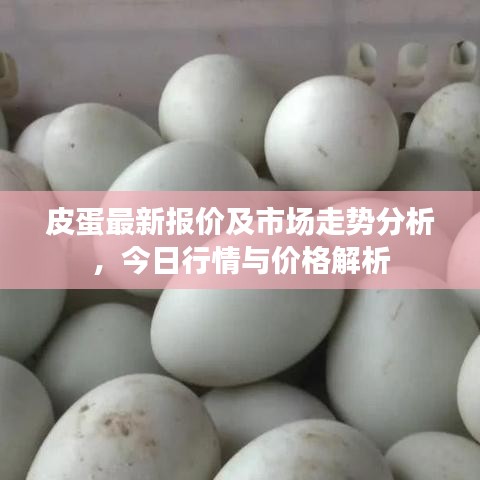 皮蛋最新报价及市场走势分析,今日行情与价格解析