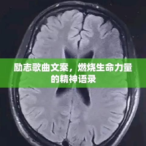 励志歌曲文案,燃烧生命力量的精神语录