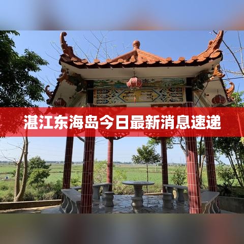 湛江东海岛今日最新消息速递