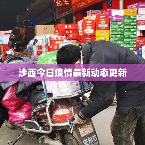 沙西今日疫情最新动态更新