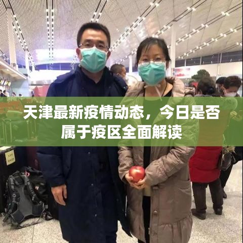 可以交易的手游及同步推助手激活码,持久设计方案策略&amp;FHD版_v6.445