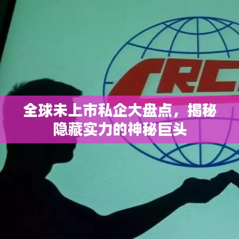 全球未上市私企大盘点，揭秘隐藏实力的神秘巨头